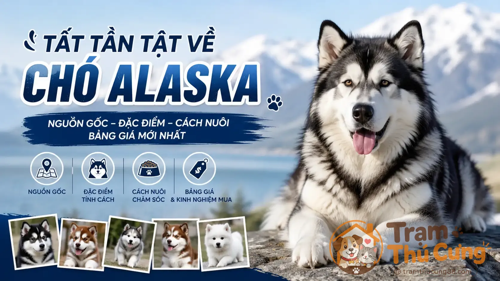 cho-alaska