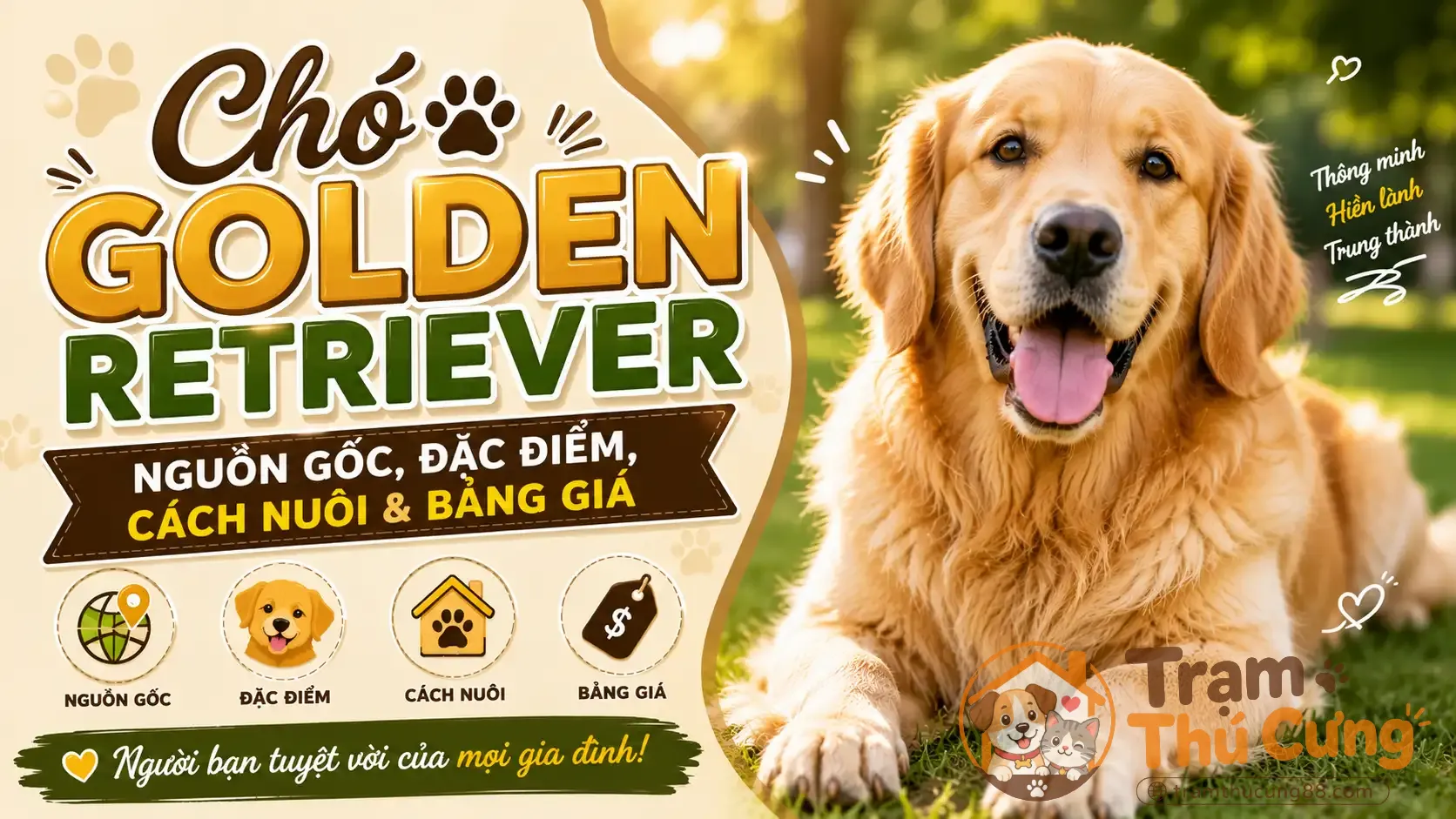cho-golden-retriever-1