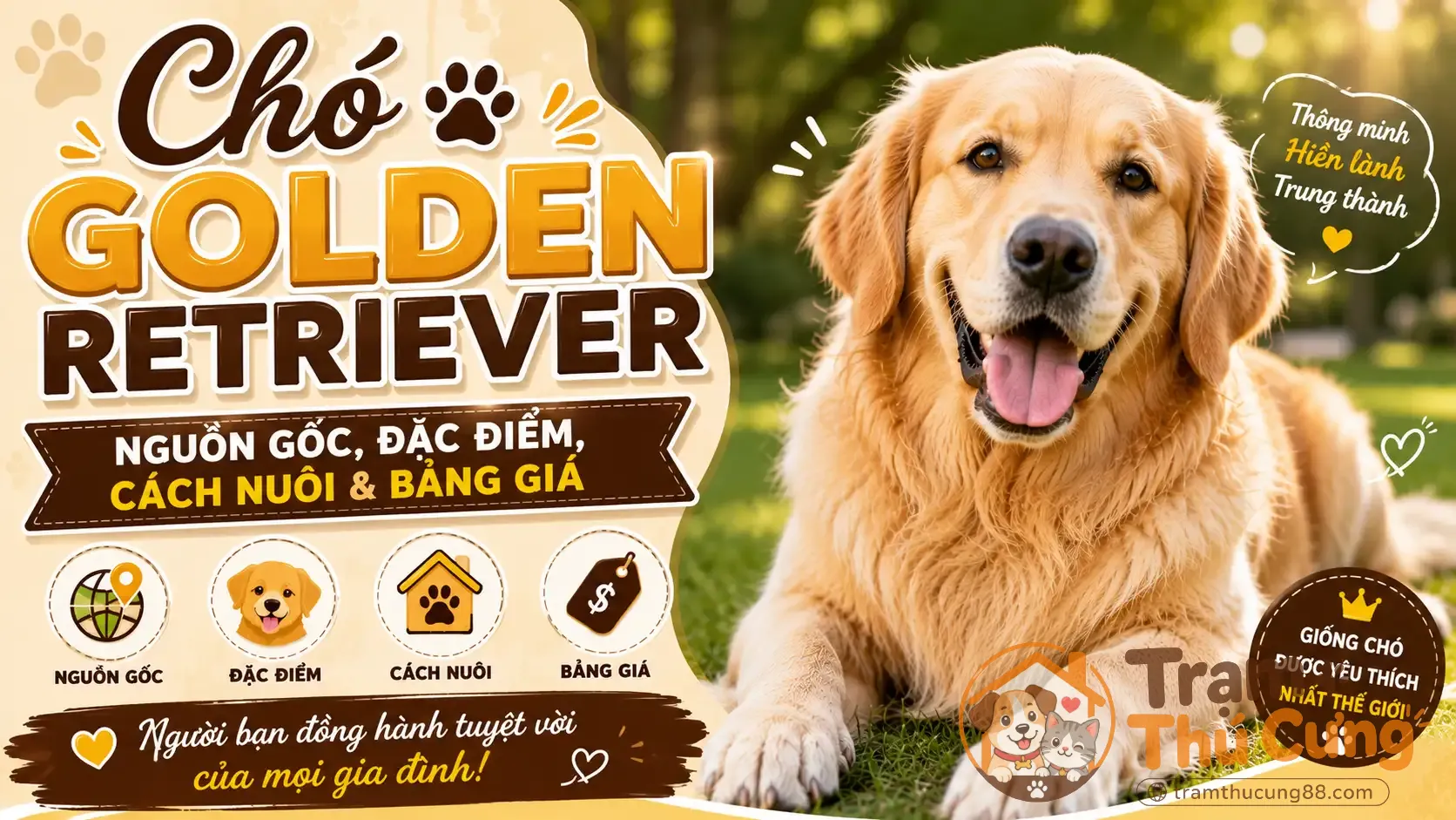 cho-golden-retriever-2