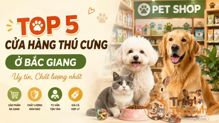cua-hang-thu-cung-o-bac-giang