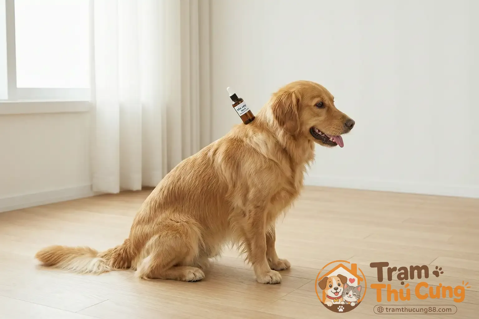 Thuốc nhỏ gáy giải pháp được bác sĩ thú y tin dùng