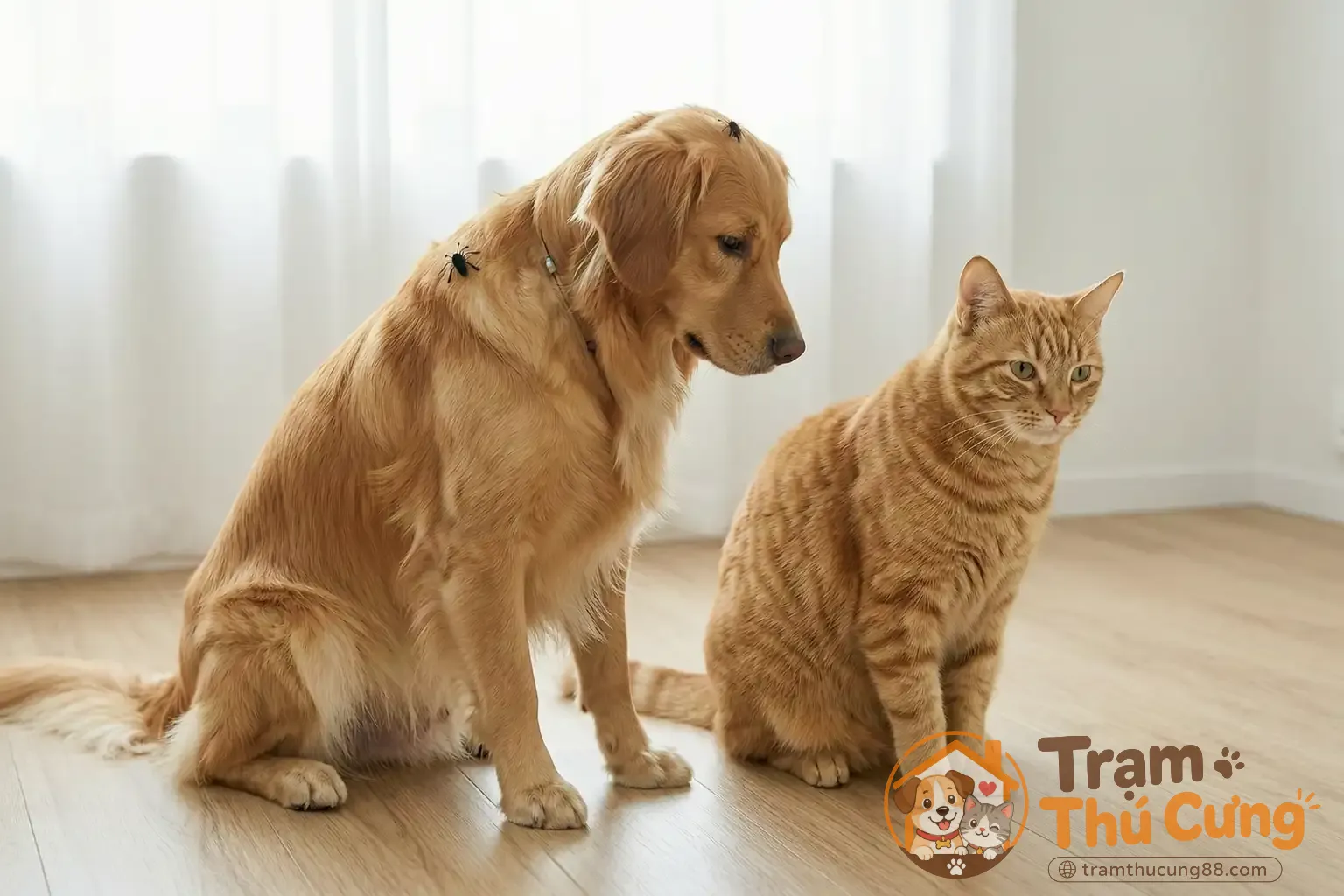 Thuốc nhỏ gáy - phương pháp phổ biến và dễ sử dụng